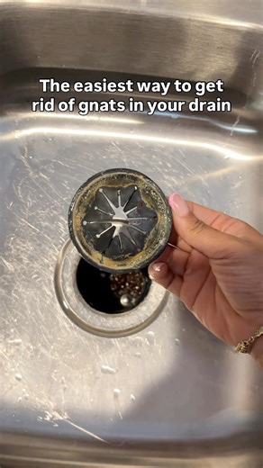 3.5M views · 26K reactions | What’s that swarm in your sink?! 濫 Here’s the easiest way to get rid of drain gnats - no fuss, no chemicals, just results. 猪✨ #homehack #byebyegnats #summercleaninghacks #cleaninghacks #cleaningreel #gnatsnomore #cleanyoursink #kitchenclean | Homeaglow | Facebook