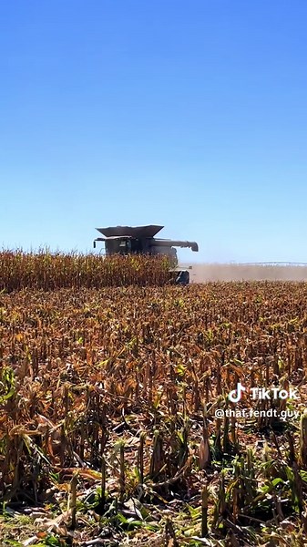 Fendt Ideal 9 running a 16R30 Drago GT mowing down some wet corn.#Fendt #Ideal9 #AGCO #ButlerAgEquipment #LeadersDriveFendt