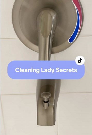 Cleaning Lady Secrets for Shiny Brushed Nickel Fixtures