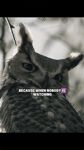 This 30-Second Video Will Change Your Mindset 🔥
