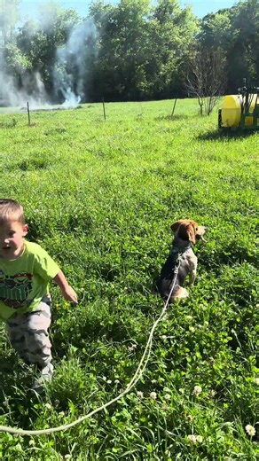 A boy and his beagle