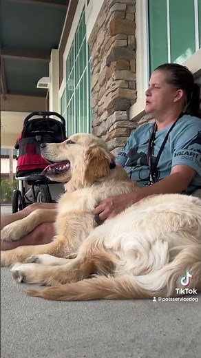Service Dog Public Access training with puppy at PUBLIX