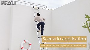 Watch 16.5 FT Telescoping Ladder on Amazon Live