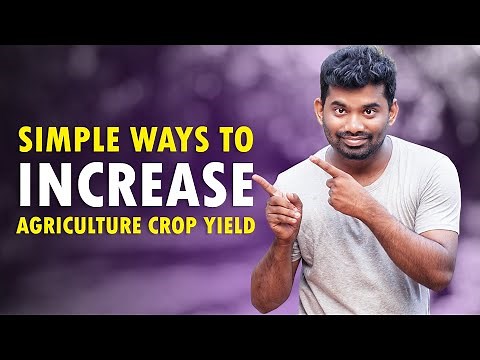 How to increase yield in Agricultural Crops | How to get more Profit in Agriculture Farming Business