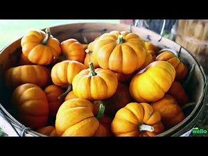 Well-Being With Brian Gronski