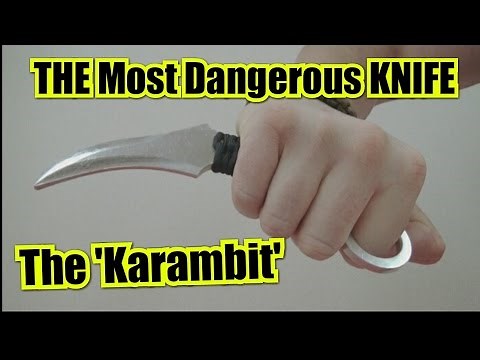 How to Fight with a Karambit - Regardless of your style & experience!