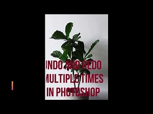 How to UNDO and REDO Multiple Times in Photoshop | Adobe Photoshop CC Tutorials