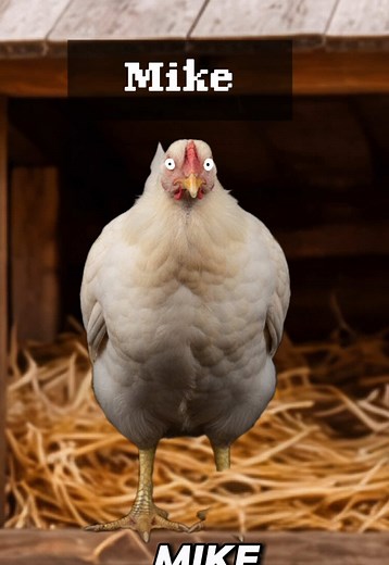 The Chicken That Lived Without a Head… #fyp #mike | mike the chicken