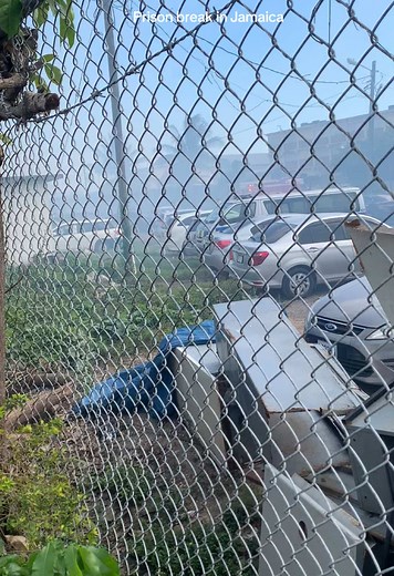 Prison Break in Jamaica: Key Insights and Details