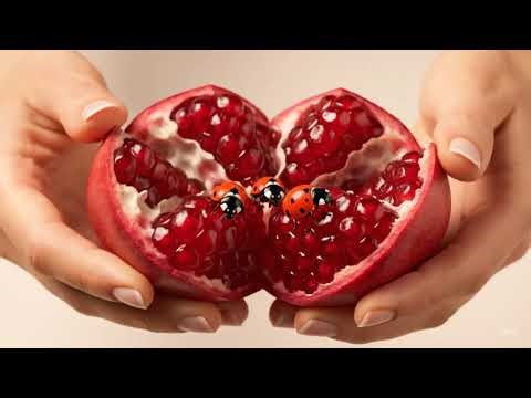 Ladybugs Emerge From Pomegranate