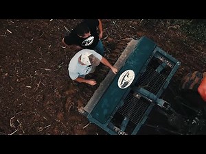 Best Mix To Plant In Your Food Plot