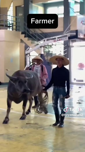 Comprehensive Career Guidance for Graduates