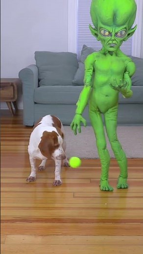 Interspecies Love❤️: Dog + Alien 🐶❤️👽 #shorts #dog #alien