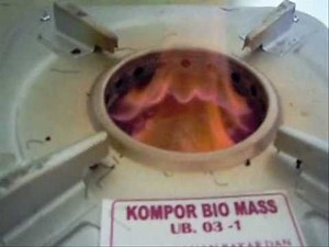 UB-03-1 Fuelled with Palm Kernel Shell