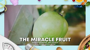 #PinoyMD: Calabash o 'miracle fruit,' nakagagaling nga ba ng sakit? | GMA Public Affairs