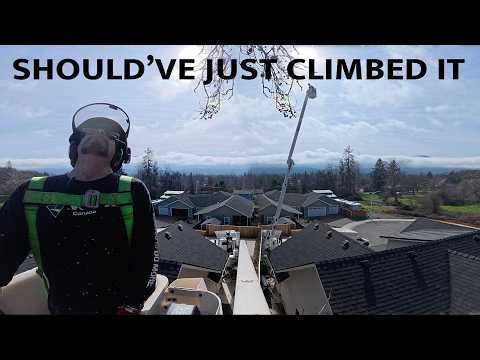 This Job Made Me Wish I’d Just Climbed It