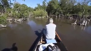 Неизвестные существа