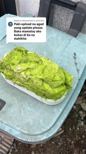 Transforming Algae into White Sand: A Unique Process