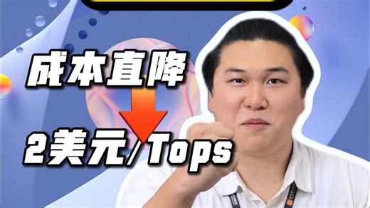 成本直降2美元/tops！国产芯如何颠覆割草机器人算力格局？