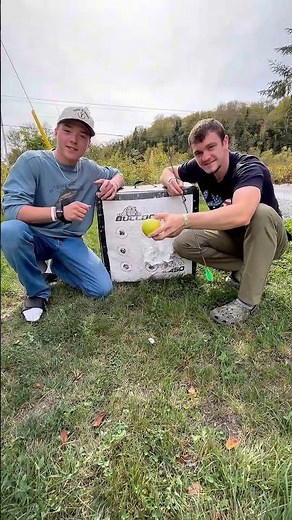 Apple Archery Challenge! #challenge #archery #outdoors #bowhunting