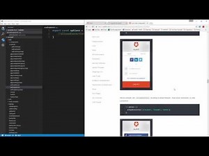 Learn to build an Auth0 App using Angular 2 - Auth0 Options