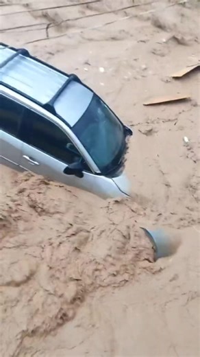 The Impact of Heavy Rain and Flooding on Nature