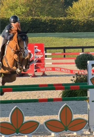 Perfect First Race: Third Place Finish!