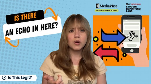 Echo chambers: how they’re created and how to avoid them - Poynter