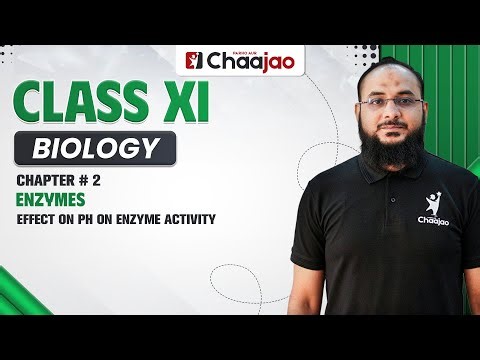 Effect on pH on enzyme activity