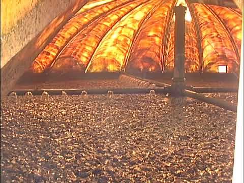 Wastewater Instructional Video: Trickling Filters and RBCs