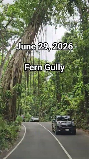 June 29,.2026 | Fern Gully Jamaica
