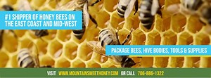 118K views · 1.1K reactions | WE HAVE THE HONEY BEES! We have...