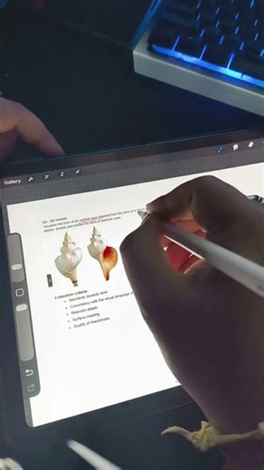 Live highlight- How to Solve CEED Part B- Form Sensitivity (Live)