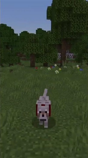 Mc Skin Loader Version 0.04 (Trailer) #cape #minecraft