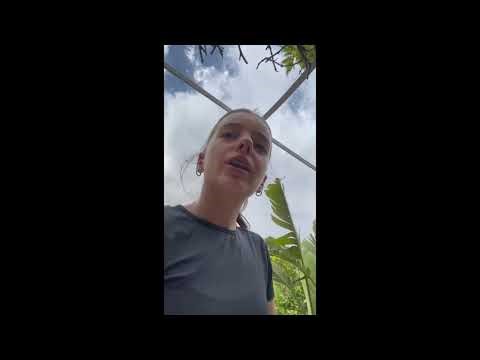 Cache cache géant dans toute la maison