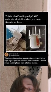 When Cutting Edge Wi Fi From Temu Arrives As Plastic Bones