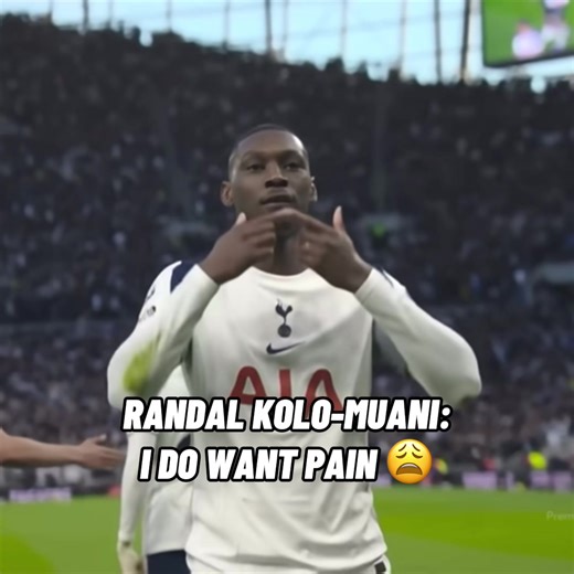 Do you want pain? #arsenal #tottenham #nld #eze #gyokeres | arsenal vs tottenham