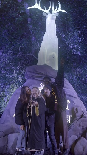 Step into an enchanted forest alive with spells, magical creatures and dazzling illuminations✨🔮 | Harry Potter: A Forbidden Forest Experience