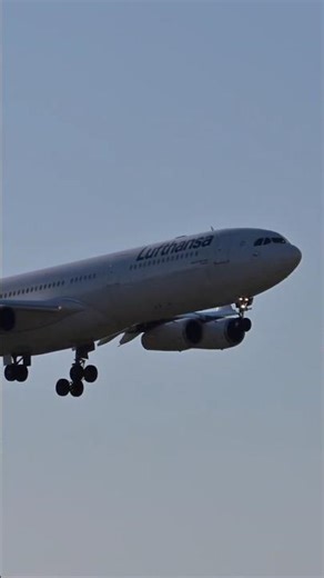 Lufthansa A340-300 D-AIFE "Passau" on final approach CYUL RWY 06L on October 11th 2025.