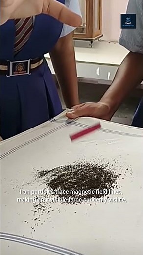 Visualizing Magnetic Fields!