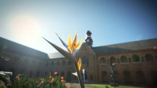 Collaboration is the key to our success at the University of Pretoria. By working together across disciplines, we create innovative solutions and make a meaningful impact. Join us in embracing #UPCollaboration and Make today matter. #UniversityOfPretoria #MakeTodayMatter #UPValues | University of Pretoria