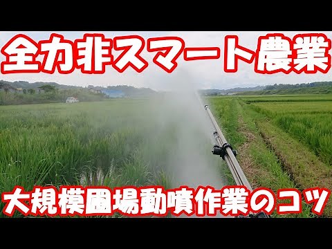 簡単！100m級の田んぼを動噴で防除するコツ。農薬散布