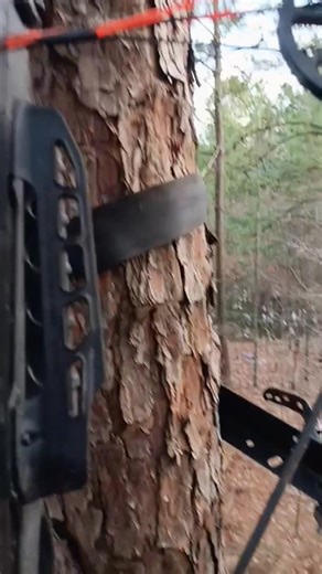 Homemade climbing tree stand.. what you kno bout that 💪🎯🤔 | JJ Douglas