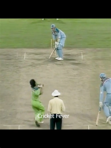 Imran Khan Last Over In International Cricket - The Story Of The Final Moments Of Pakistan's World Cup Win - How Imran Khan Sealed The World Cup Victory #cricket #imrankhan #pakistancricket #pakvseng #wasimakram