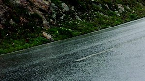 BMW M1 Procar driven by the ex-Formula 1 driver Nelson Piquet Jr 🎥 by BMWBLOG | BMW Classic Videos