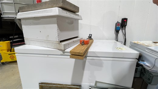 2.2K views · 24 reactions | When I first started beekeeping I made this DIY tool to weigh my hives while getting ready for winter. It's not very accurate for total hive weight, but I was only using it to track whether the hives were gaining or losing weight in Fall. I've gotten better at estimating what's "heavy" by myself so I don't really use it much now... lots of ways to weigh a hive. | BLIND BEE HONEY | Facebook