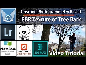 Creating photogrammetry based PBR texture of tree bark