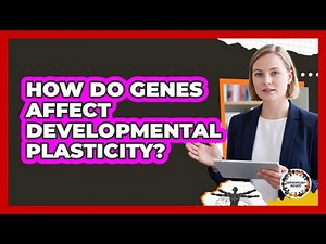 How Do Genes Affect Developmental Plasticity?