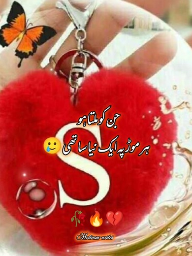 Discover the S Letter Name Video