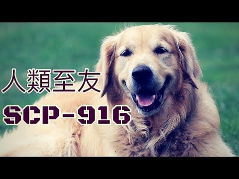 SCP基金會 SCP- 916 Man's Best Friend 人類至友